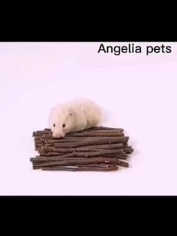Professional Hamster Rabbit Teeth Grinding Apple Tree Stick Minerals Molar Stone Toys for Chinchilla Hamster PetToys accessories