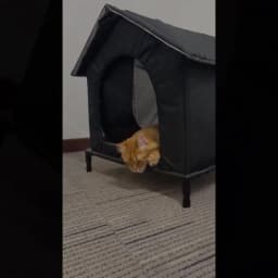 Cat House for Outside or Indoor Coldproof and Insulated Designs for Strays Cats All Season Large Capacity and Warm Waterproof
