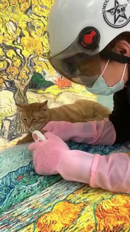 Cat Grooming Nail Cutting Anti Scratch Bite Fixed Bag Bath Trimming Restraint Bag Pet Beauty Hammock Hanging Pet Supplies Set