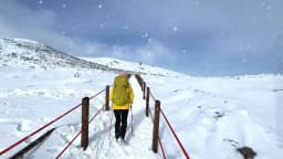 TACVASEN Womens Winter Skiing Hiking Softshell Pants Snowboard Cargo Pants Waterproof Windproof Multi-Pockets Fleece Lined Trous