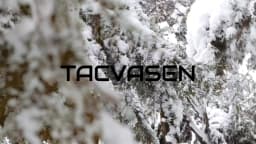 TACVASEN Womens Winter Thermal Jackets Warm Fleece Lined Waterproof Jacktes Snow Ski Hood Coat Mountain Snowboarding Windbreaker