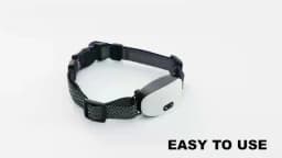 New Smart Dog Bark Collar, Rechargeable Smart Barking Collar, Anti Bark Training Collar Adjustable Sensitivity