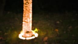 5Pcs LED Tree Hugging Lamp 85-265V Outdoor Christmas Tree Holding Lighting Lamp Waterproof IP65 Garden Park Courtyard Decor Lamp