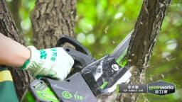 Greenworks 40v Top Handle Arborist Chainsaw Brushless Motor 10 Inch Bar 15M/S Professional One Hand Operate Garden Saw GS110