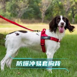 Personalized No Pull Dog Harness with Name Patch Escape-Proof Adjustable Reflective Soft Padded Dog Vest for Training Walking