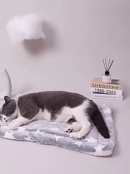Flannel Pet Sleeping Mat Dog Bed Cat Litter Puppy Bed Dog Sofa Lovely Mattress Cushion for Small Large Dog Blanket For Winter