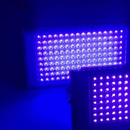 LED UV USB FloodLight 50W 100W 150W Disco Party LED USB Stage Blacklight AC 220V Ultraviolet Fluorescent Stage Lamp Floodlight