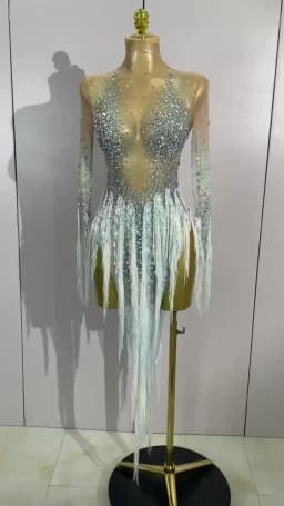 Sexy Mesh See Through Sparkly Rhinestone Tassel Long Sleeves Mini Dress 2026 Women Latin Dance Nightclub Party Club Stage Wear