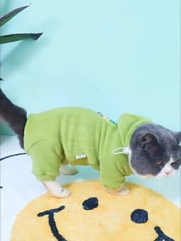 Fleece 4-legged Soft Sweater for Sphynx Cat Winter thick Warm Hooded Red Green Sweatshirt for Kittens Devon Rex coat in Autumn