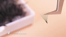 ABONNIE Loose 8D-20D Pointy Base Short Stem Premade Russian Volume Fans Faux Mink Premade Eyelash Extensions Makeup Cilios