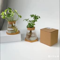 2/1 Pcs Hydroponic Plants Glass Flower Pots Home Decoration Transparent Small Vase Plant Pots With Base Tray Garden Accessories
