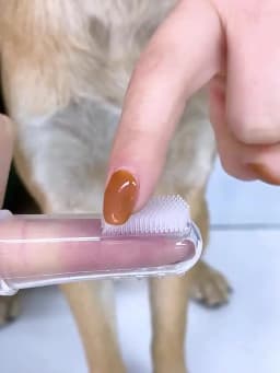 5pcs Soft Finger Pet Toothbrush Teddy Dog Brush Off Bad Breath Tartar Teeth Care Dogs Cat Tooth Brush