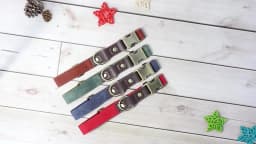 Personalized Dog Collar Leash PU Leather Dog Collars With Walking Lead Rope Free Custom Pet ID Necklace for Small Large Dogs Pug