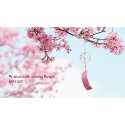 Sakura Face Deep Cleaning Exfoliating Gel Skin Care Whitening Moisturizer Repair Facial Scrub Skin Care 60g