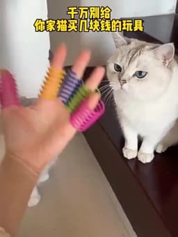 4/200Pcs Interactive Colorful Gauge Kitten Coil Spiral Springs Cat Toys for Kittens And Cats Pet Products