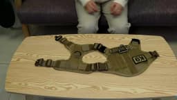 Large Dog Harness Pet German Shepherd Malinois Training Vest Military Tactical Medium Dog Harnesses Hunting For Dogs Accessories