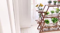 8 Tier Tall Large Capacity Wood Plant Stand Steady Flower Shelves for Patio Porch Balcony