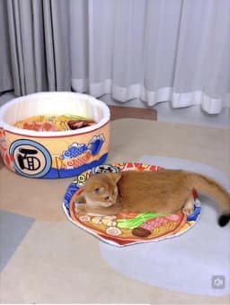 BOOTEELY Pet Dog Cat House Kennel Super Large Instant Noodle Warm Dog Cat Nest Beds Cushion Cup Cozy Nest