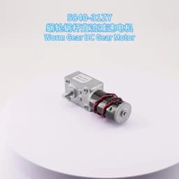 Bringsmart 5840-31zy DC 12V Volt Gear Motor Double Short Shaft Reverse Gearbox All Metal Gears 12-470RPM Speed Motor 24V Br