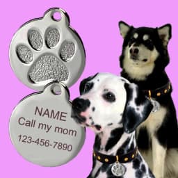 Personalized Custom Pet Dog ID Nameplate Identification Dog Tag Anti-lost Puppy Name Pet Supplies Accessories Cat and Dog Collar