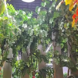 Tropical Tree Large Artificial Plants Tall 28'' Fake Eucalyptus Branch Plastic Plants False Ficus For Home Living Room Study Dec