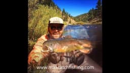 MAXCATCH Cruiser Fly Fishing Rod 2/3/4WT 7ft 7.5ft 8ft 6 Section Fast Action IM10 Carbon Blank AA Reel Seat Extra Hard Tube