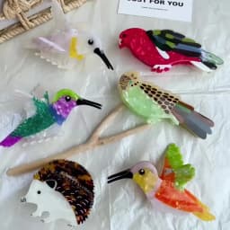 Novelty Bird & Hedgehog Acetate Hair Claw Clips, Whimsical Hummingbird Parrot Shark Clips for Women Girls