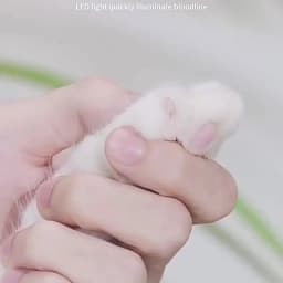 Professional Pet Nail Clippers with Led Light Pet Claw Grooming Scissors for Dogs Cats Small Animals Paw Nail Trimmer Pet Supply
