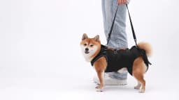 Adjustable Universal Dog Lift Harness Sling, Walking Mobility Carrier Belt for Old Elderly Dog Injured Front & Rear Leg Support