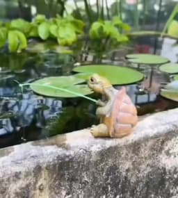 Creative Cute Fishing Turtle Resin Figure Statue Fish Tank Decoration Micro-Landscape Garden Decoration Aquarium Ornaments