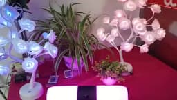 LED Rose Flower Table Lamp USB Christmas Tree Fairy Lights Night Lights Home Party Wedding Bedroom Decoration Mother's Day Gift