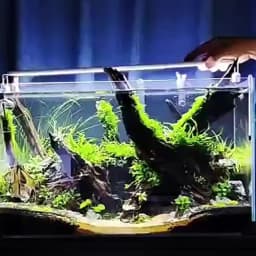 Aquarium LED Fish Tank Light, 3 Color Full Spectrum Adjustable Water Plant Lamp, Telescopic Clip-On Light for 18-75cm Aquariums