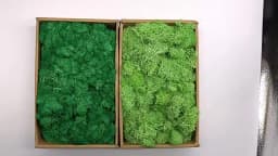 40g Simulation Artificial Moss Green Eternal Life Moss Grass Fake Plant For Home Wall Decor Garden Micro Landscape Material Gift