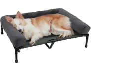 BINGOPAW Outdoor Elevated Dog Bed Cooling Raised Pet Lounger Bed Mesh Cot Sleep Camping Bed with Detachable Plush Bolster