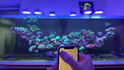 PopBloom-RL90 WiFi LED Aquarium Light 200W, Reef Marine Aquarium Led Lamp for 80-120cm 30"-48" Reef Coral SPS/LPS Tank