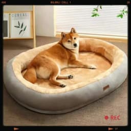 2023 Warm Soft Plush Pet Bed for Small Medium Large Dogs Round Cat Bed House Dogs Mat Dog Sleep Kennel Mat Cama Perro