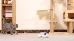 ROJECO 2 in 1 Smart Cat Toys Automatic Feather Fun Ball Toy Set For Cat Dog 5 Modes Electronic Interactive Pet Toy Accessories
