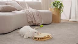 Cat Scratcher with Ball Track Toy, Sisal Scratch Pad for Indoor Use
