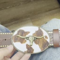A Casual and Retro Belt, a Waist Accessory for Western-Style Clothing, Metal Buckle, PU Belt, Suitable for Both Men and Women