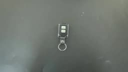 Sears Craftsman 315 139.53753 Garage Door Remote Control 315MHz Gate Keychain PURPLE Learn Button