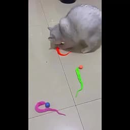 Geometric Worm Cat Toy: No-Battery Stick for Play & Chase | Realistic Wiggling Action