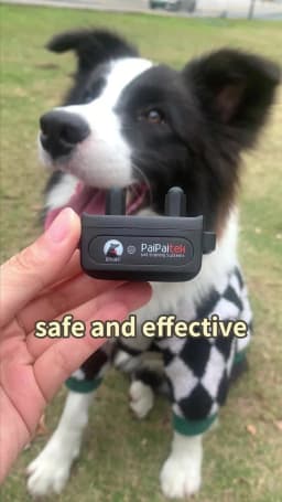 No Shock Vibration Dog Training Collar 1000M Remote Anti Bark Collar Rechargeable Waterproof Vibration Collar for All Dogs