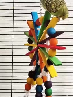 Parrot Grinding Swing Station Ladder String Toy, Bird Supplies, DIY Claw, Paw Dumbbell, Color Wood Rope, Pet Products