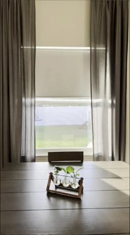 Decopedia Roller Blinds for Windows Motorized Cordless Smart Window Blinds Blackout Roller Day and Night Curtain for Living Room
