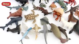 Oenux Sea Life Animals Model Action Figures Ocean Fish Sailfish Bass Grouper Salmon Aquarium Figurines PVC Educational Kids Toy