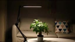 LED Desk Lamp with Clamp 10W Swing Arm Desk Lamp Eye-Caring Dimmable Desk Light with 10 Brightness Level, 3 Lighting Modes