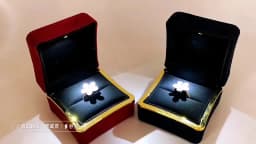 New in LED Light Jewelry Box Ring Earrings Earnail Pendant Organizer Imitation Leather Velvet Decorative Gold Frame Storage Box