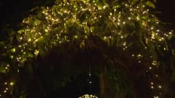 2023 New 50M 30M Christmas Decorations Lamp Waterproof Outdoor LED String Lights 8 Modes Holiday Fairy Lights for Wedding Party