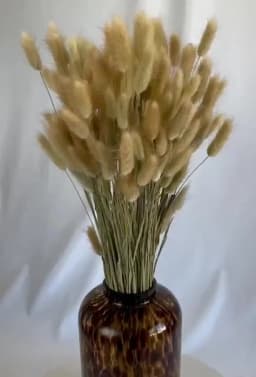 60pcs Dried Flowers Rabbit Bunny Tails Grass Mix Bouquets Wedding Party Decoration Natural Fluffy Lagurus Ovatus Boho Home Decor