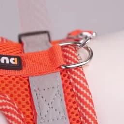 New Dog Chest Strap Dopamine Pet Chest Strap Reflective and Breathable Pet Traction Rope Pet Supplies